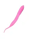 Flat Worm